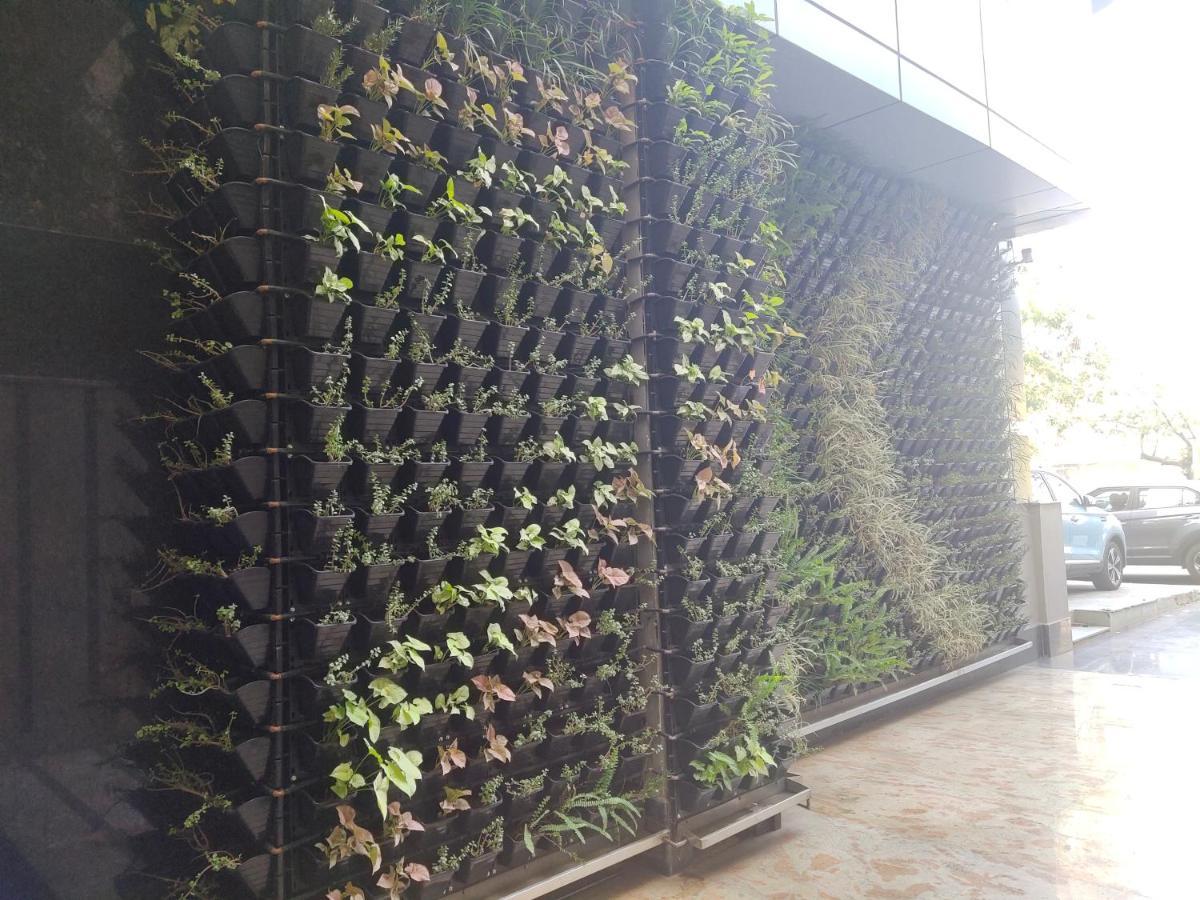 Delhieez - A Boutique Hotel Nowe Delhi Zewnętrze zdjęcie